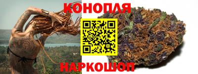 PSILOCYBIN Вязьма