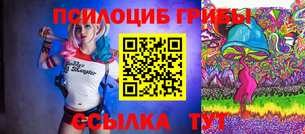 Галлюциногенные грибы Psilocybine cubensis Владикавказ