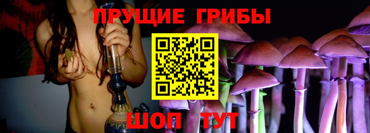 Галлюциногенные грибы Magic Shrooms  Вход с VPN  Псилоцибиновые грибы Psilocybe  Владикавказ 